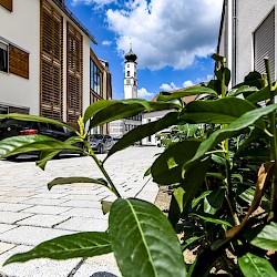 Isny im Allgäu