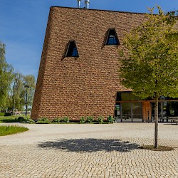 Rapunzel