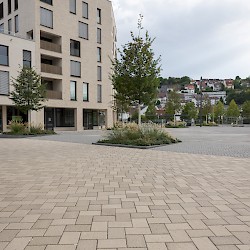 Blaustein Marktplatz und Rathausumgebung, Ehrensteinerstraße